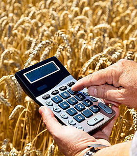 Автоматизированный учет в сельском хозяйстве